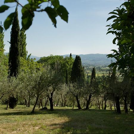 Villa Degli Ulivi Asís Exterior foto