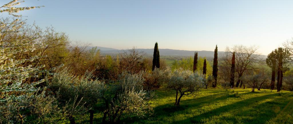Villa Degli Ulivi Asís Habitación foto