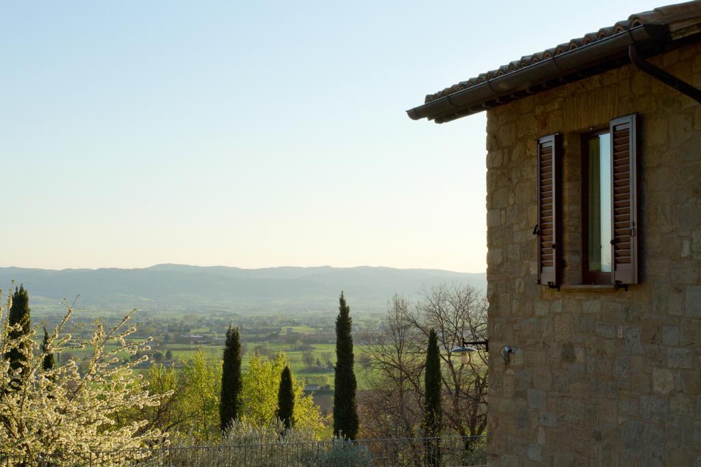 Villa Degli Ulivi Asís Exterior foto
