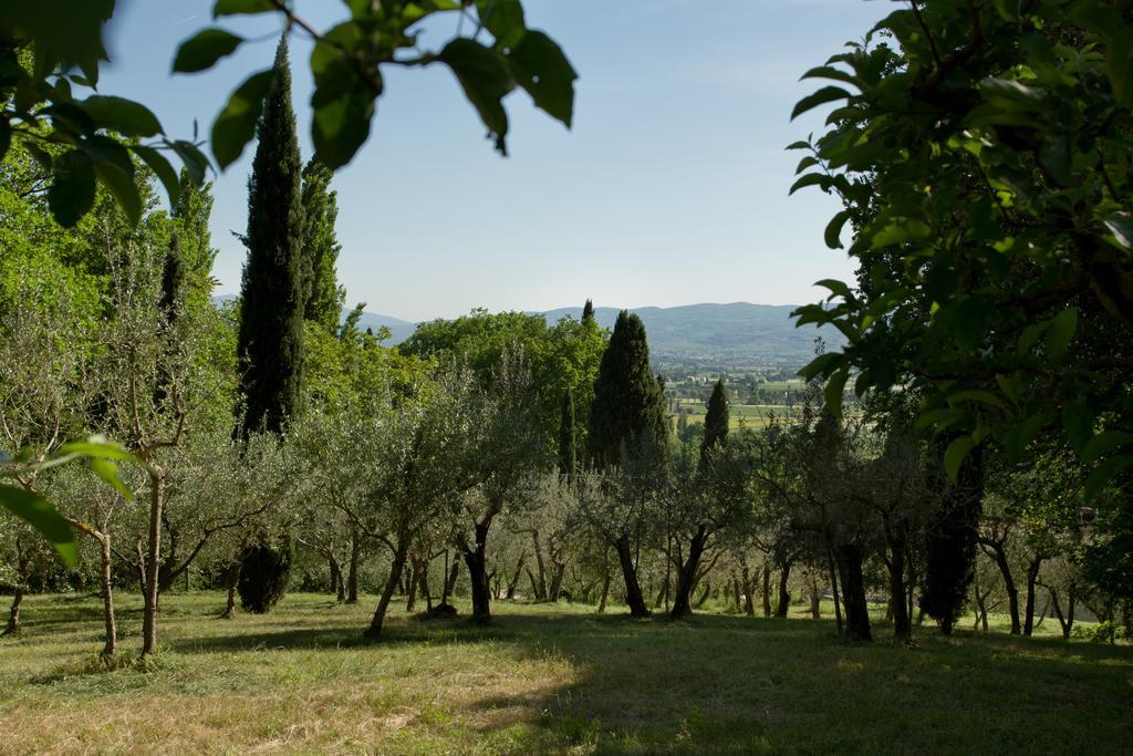 Villa Degli Ulivi Asís Exterior foto